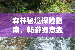 森林秘境探险指南，畅游绿意盎然的自然奇观