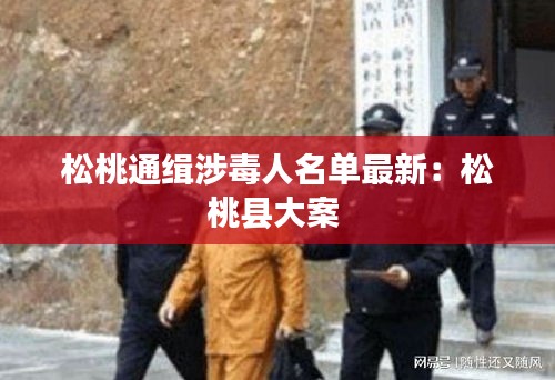 松桃通缉涉毒人名单最新：松桃县大案 