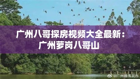 广州八哥探房视频大全最新：广州萝岗八哥山 