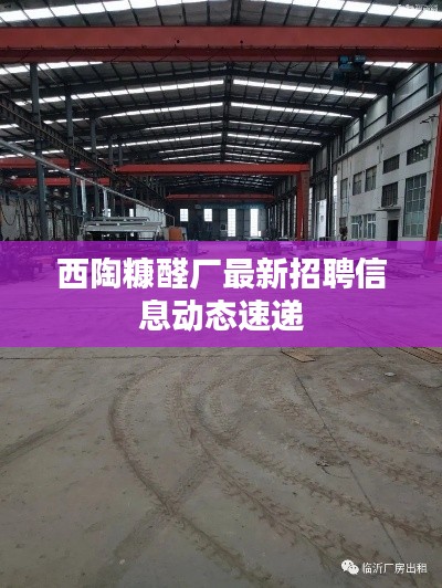 西陶糠醛厂最新招聘信息动态速递