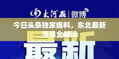 今日头条独家爆料，东北最新消息全解读