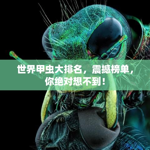 世界甲虫大排名，震撼榜单，你绝对想不到！