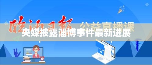 央媒披露淄博事件最新进展