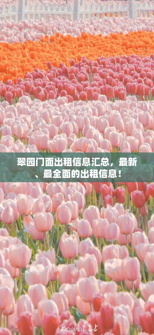 翠园门面出租信息汇总，最新、最全面的出租信息！