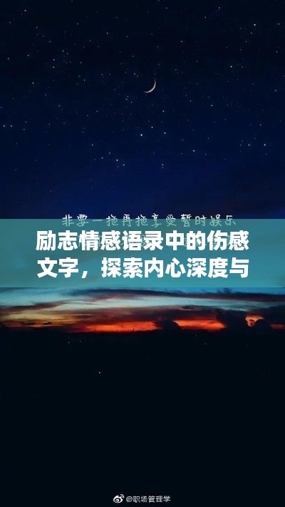 励志情感语录中的伤感文字，探索内心深度与力量的世界