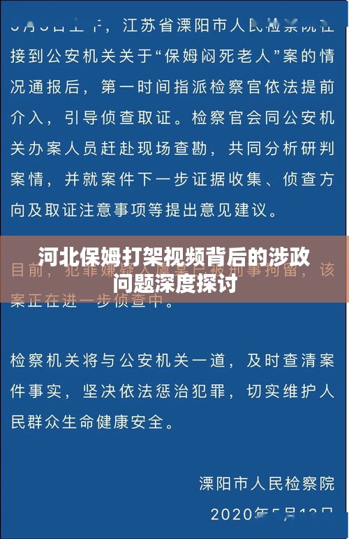 河北保姆打架视频背后的涉政问题深度探讨