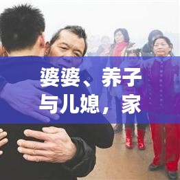 婆婆、养子与儿媳，家庭情感故事大揭秘！