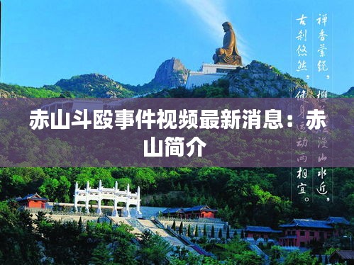 赤山斗殴事件视频最新消息：赤山简介 