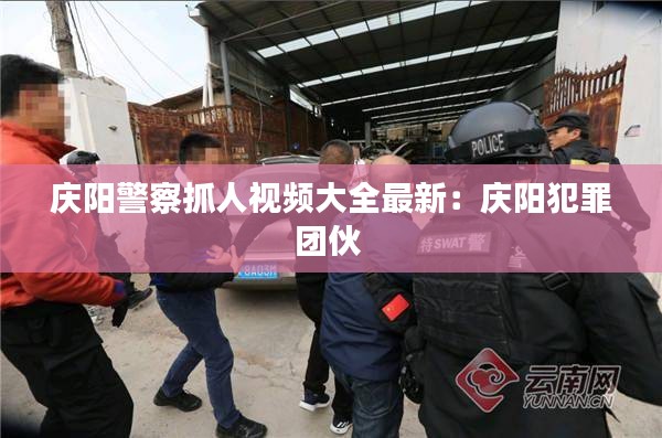 庆阳警察抓人视频大全最新：庆阳犯罪团伙 