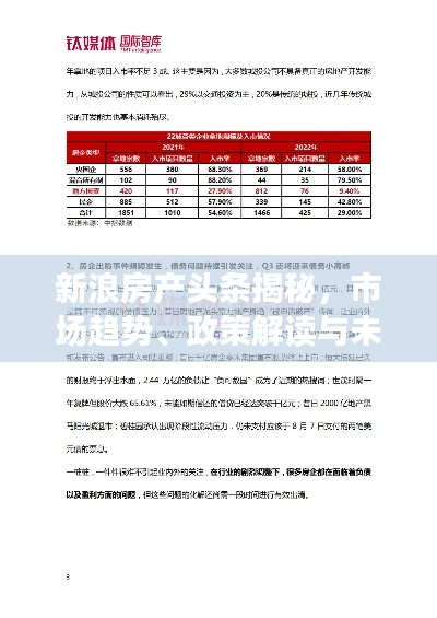 新浪房产头条揭秘，市场趋势、政策解读与未来展望展望