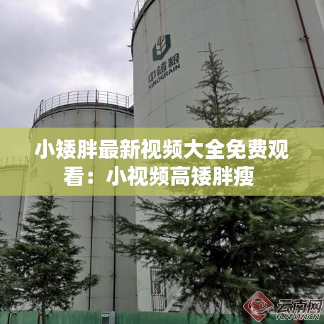 小矮胖最新视频大全免费观看：小视频高矮胖瘦 