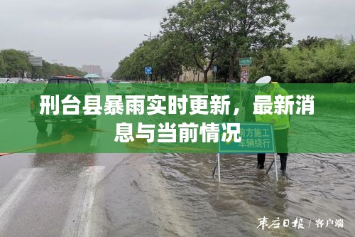 荆钗布裙 第3页