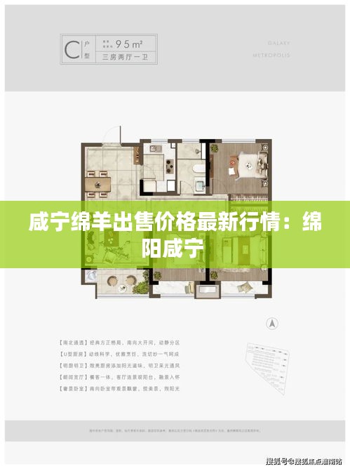 咸宁绵羊出售价格最新行情：绵阳咸宁 
