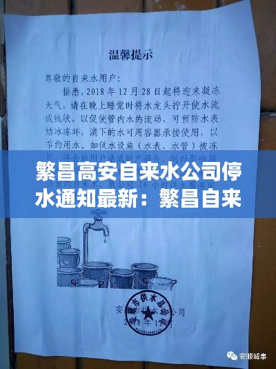 证书与荣誉 第231页