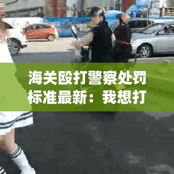 海关殴打警察处罚标准最新：我想打海关人员 