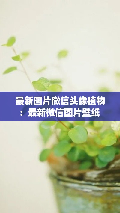 最新图片微信头像植物：最新微信图片壁纸 