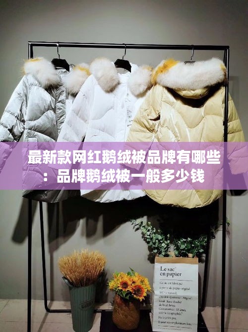 最新款网红鹅绒被品牌有哪些：品牌鹅绒被一般多少钱 