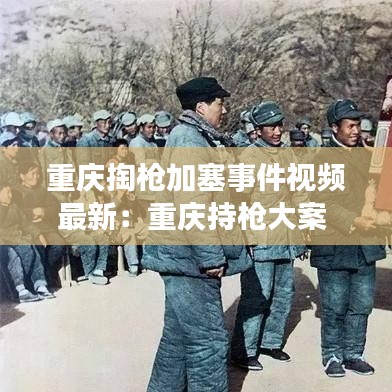 重庆掏枪加塞事件视频最新：重庆持枪大案 