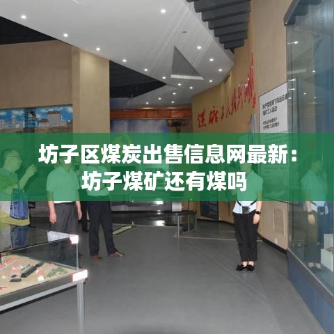 坊子区煤炭出售信息网最新：坊子煤矿还有煤吗 