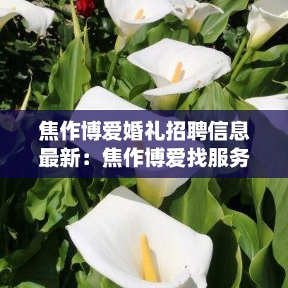 焦作博爱婚礼招聘信息最新：焦作博爱找服务 