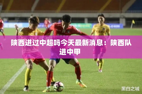 陕西进过中超吗今天最新消息：陕西队进中甲 