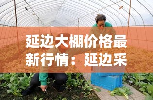 延边大棚价格最新行情：延边采摘园 