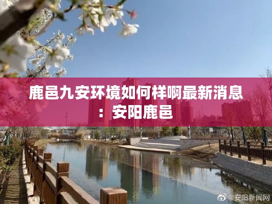 鹿邑九安环境如何样啊最新消息：安阳鹿邑 