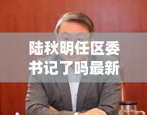 陆秋明任区委书记了吗最新消息：作者陆秋 