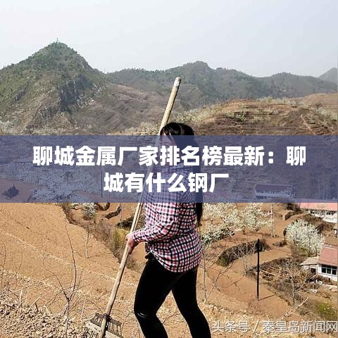 聊城金属厂家排名榜最新：聊城有什么钢厂 