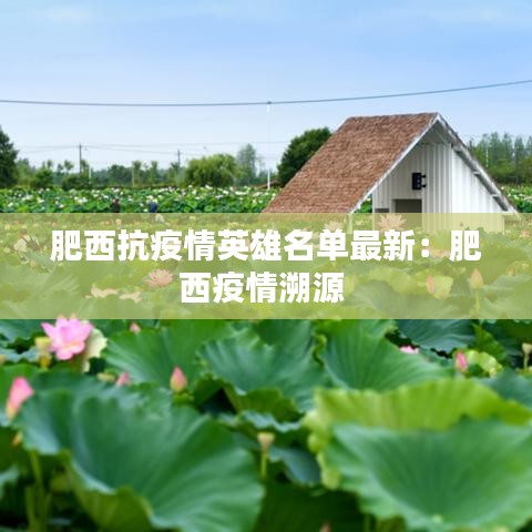 肥西抗疫情英雄名单最新：肥西疫情溯源 