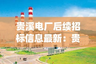 贵溪电厂后续招标信息最新：贵溪电厂是国企吗 