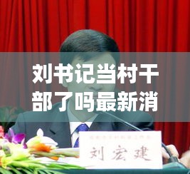 刘书记当村干部了吗最新消息：村支书刘洋个人资料简历 