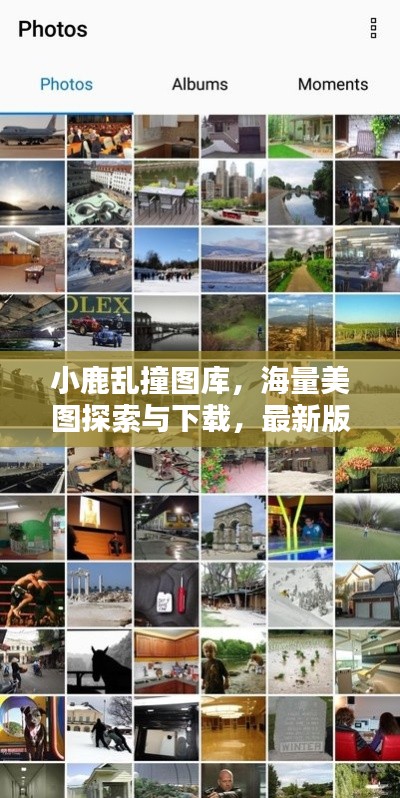 小鹿乱撞图库，海量美图探索与下载，最新版安装等你来体验！