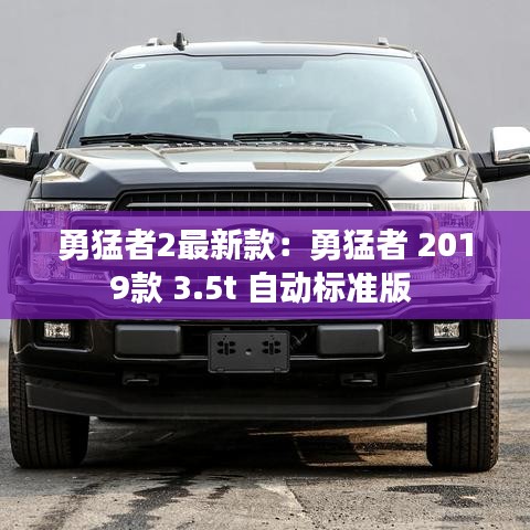 勇猛者2最新款：勇猛者 2019款 3.5t 自动标准版 