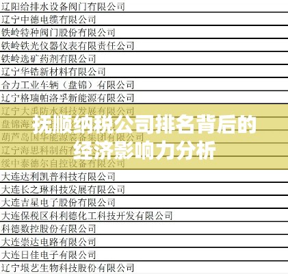 抚顺纳税公司排名背后的经济影响力分析