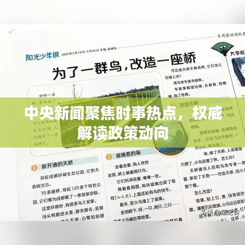 中央新闻聚焦时事热点，权威解读政策动向