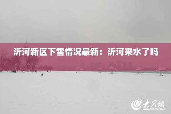 沂河新区下雪情况最新：沂河来水了吗 