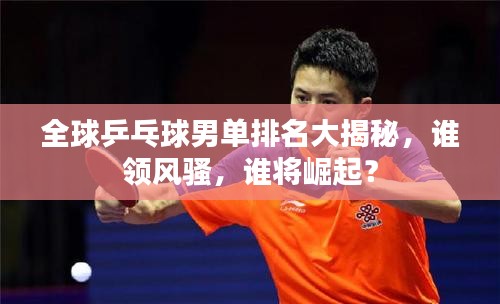 比张比李 第3页