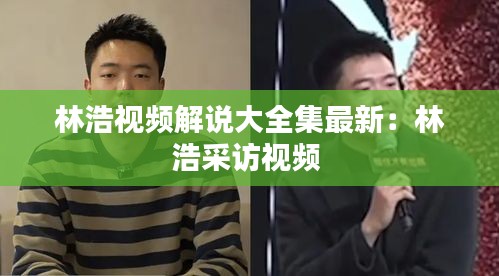 林浩视频解说大全集最新：林浩采访视频 