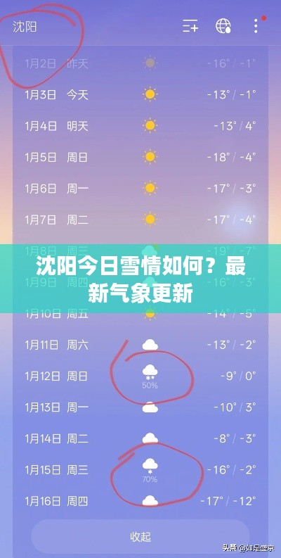 沈阳今日雪情如何？最新气象更新