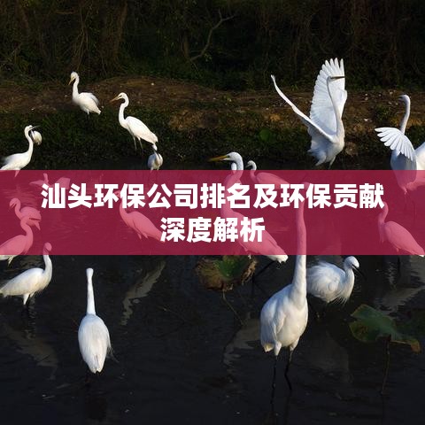 汕头环保公司排名及环保贡献深度解析