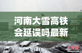 河南大雪高铁会延误吗最新消息：河南大雪被质疑是人工“假雪” 