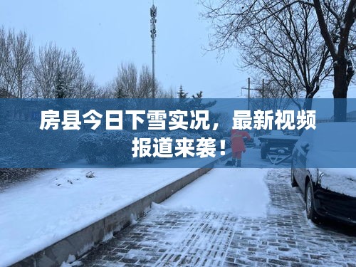 房县今日下雪实况，最新视频报道来袭！