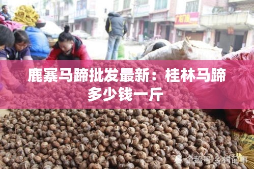鹿寨马蹄批发最新：桂林马蹄多少钱一斤 