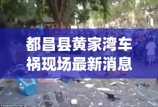 都昌县黄家湾车祸现场最新消息：都昌今天撞死人 