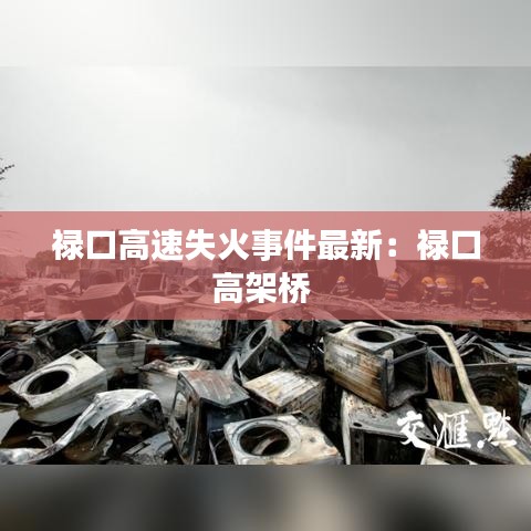 禄口高速失火事件最新：禄口高架桥 