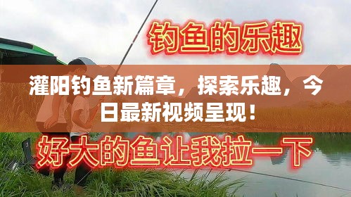 灌阳钓鱼新篇章，探索乐趣，今日最新视频呈现！