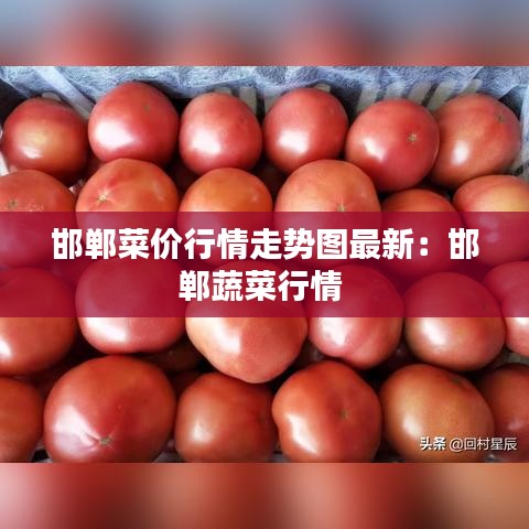 邯郸菜价行情走势图最新：邯郸蔬菜行情 