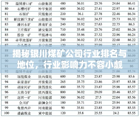 揭秘银川煤矿公司行业排名与地位，行业影响力不容小觑！