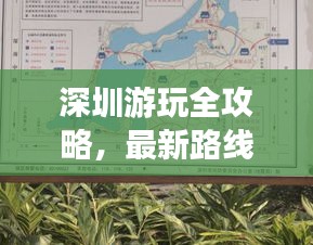 深圳游玩全攻略，最新路线抢先看